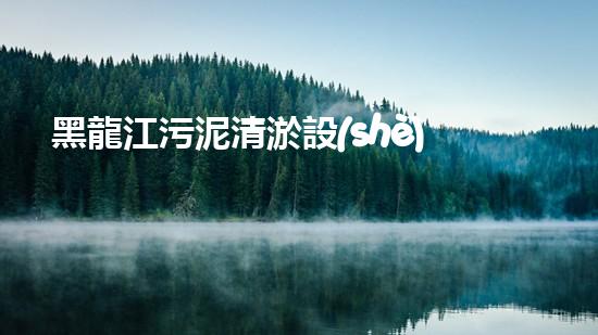 黑龍江污泥清淤設(shè)備價(jià)格污泥清淤設(shè)備的選擇與投資報(bào)答分析！